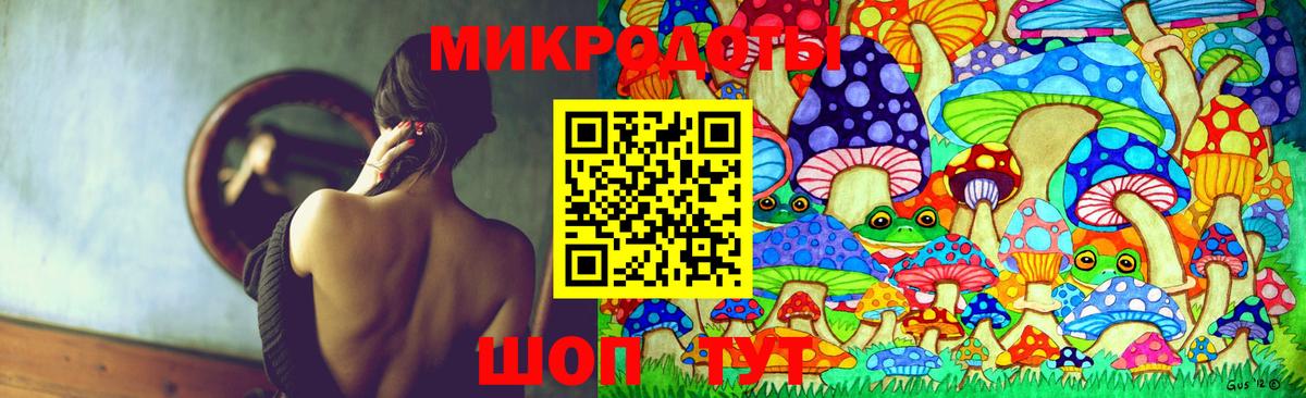 Псилоцибиновые грибы GOLDEN TEACHER  Вход с VPN  Псилоцибиновые грибы Magic Shrooms  Каменск-Шахтинский 
